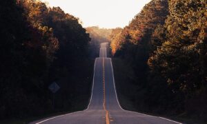 FATF startet Roadmap zur Betrugsbekämpfung